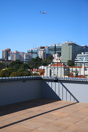 ©Telmo Miller Y4036