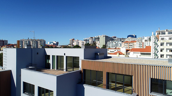 ©Telmo Miller Y4007