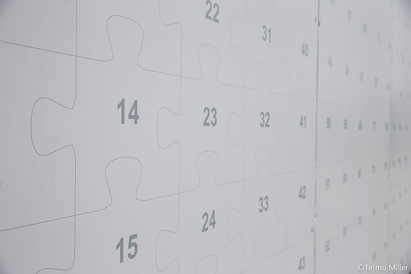 ©Telmo Miller J4418