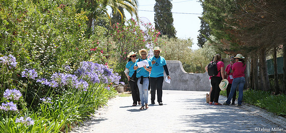 ©Telmo Miller J4811