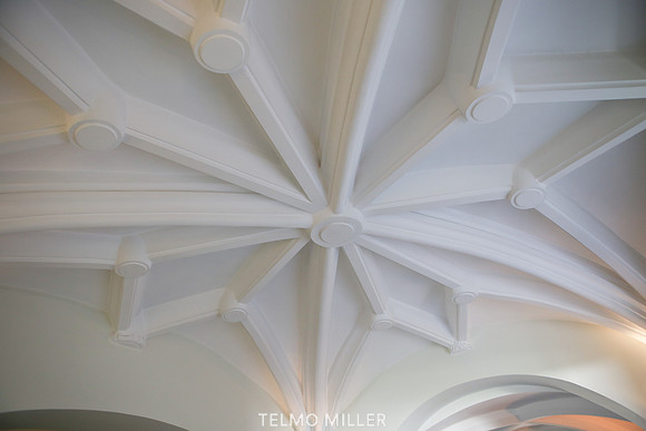 ©Telmo Miller K8597