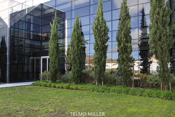 ©Telmo Miller K8599