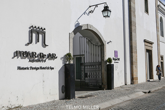©Telmo Miller K8664