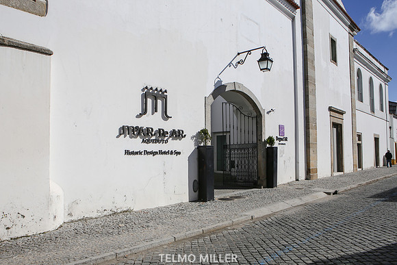 ©Telmo Miller K8663