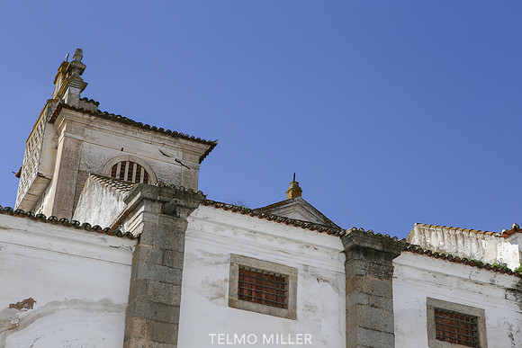 ©Telmo Miller K8602
