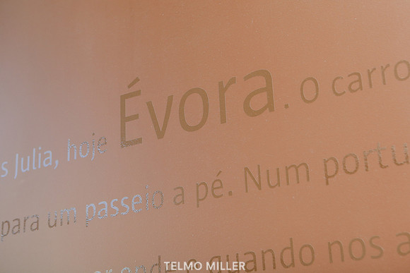 ©Telmo Miller K8596
