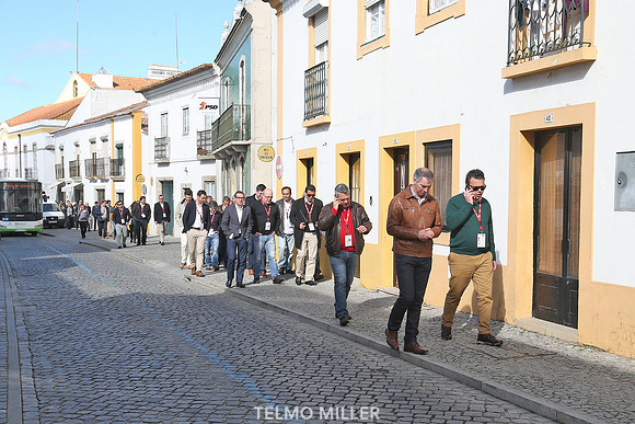 ©Telmo Miller K8612