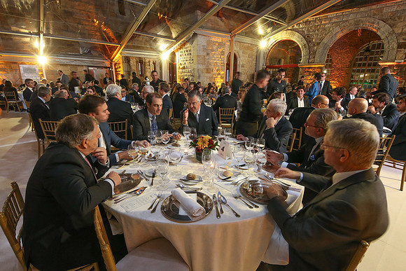 ©Telmo Miller Y4335