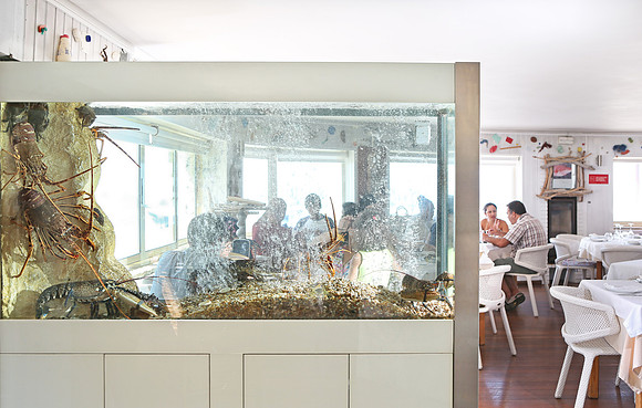©Telmo Miller F1103