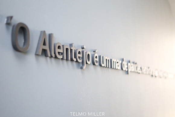 ©Telmo Miller K7668