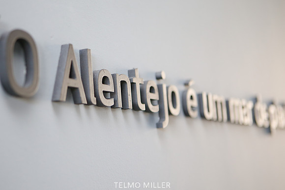 ©Telmo Miller K7669