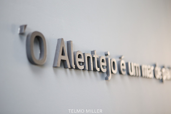 ©Telmo Miller K7666