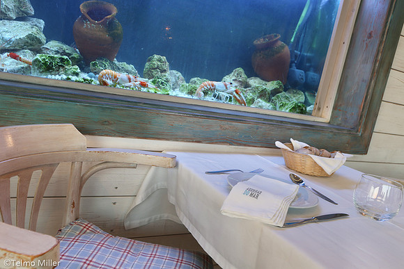 ©Telmo Miller F1135