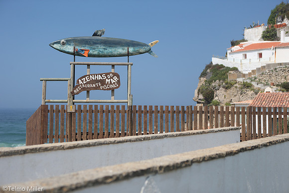 ©Telmo Miller F1187