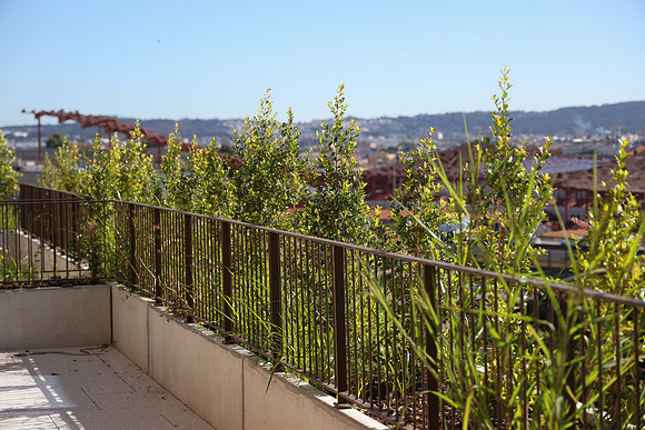 Telmo Miller V2154