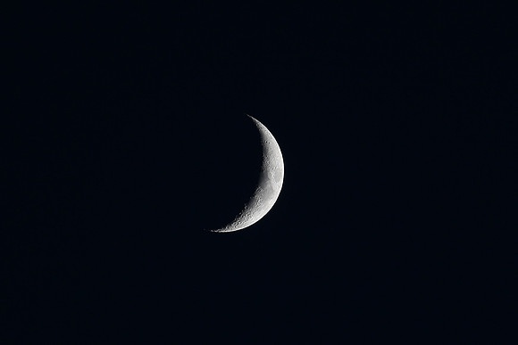 ©Telmo Miller M0071